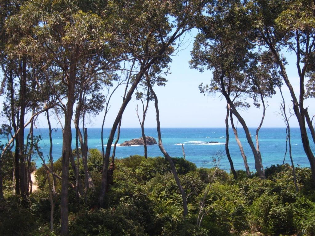 Hotel Smugglers On The Beach Coffs Harbour Esterno foto